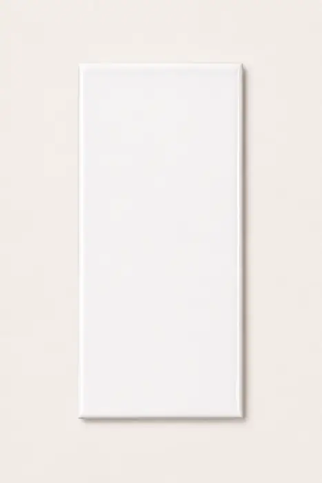 Liso Blanco Puro 10×20